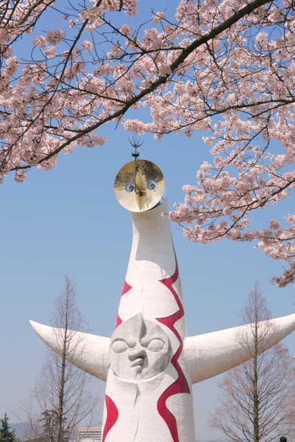 万博記念公園桜まつり