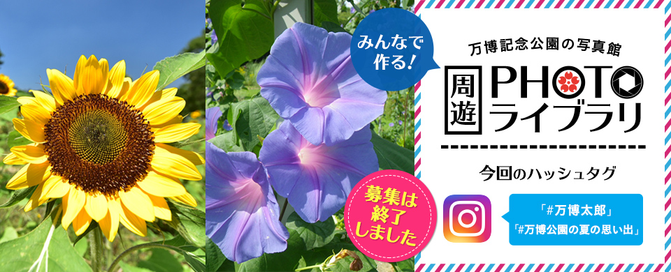 みんなで作る！万博記念公園の写真館 周遊PHOTOライブラリ　今回のハッシュタグ「#万博公園の夏の思い出」「#万博太郎」募集は終了しました