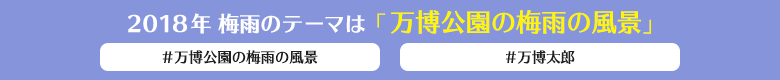 2018年梅雨のテーマは「万博公園の梅雨の風景」#万博公園の梅雨の風景 #万博太郎
