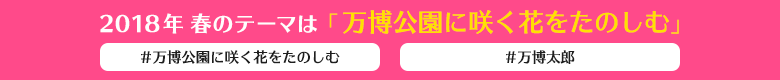 2018年春のテーマは「万博公園に咲く花をたのしむ」#万博公園に咲く花をたのしむ #万博太郎