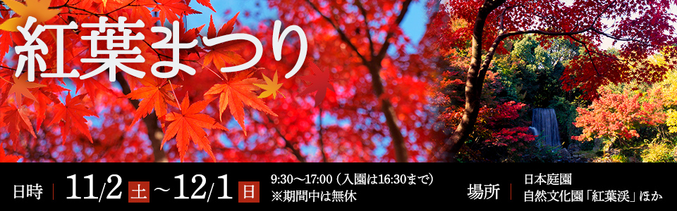 紅葉まつり|開催日時：2019年11月2日（土曜日）から12月1日（日曜日）※期間中無休　9時30分から17時（入園は16時30分まで）|開催場所：日本庭園、自然文化園「紅葉渓」ほか