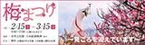 梅まつり|日時：2月15日（土曜日）から3月15日（日曜日）9時30分から17時まで（入園は16時30分まで）|場所：自然文化園・日本庭園梅林ほか|料金：無料（別途自然文化園・日本庭園入園料が必要）