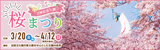 桜まつり|日時：3月20日（金曜日・祝日）から4月12日（日曜日）※期間中無休|場所：自然文化園の東大路を中心とした公園内各所