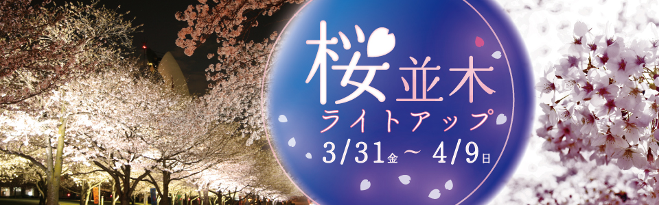 桜並木ライトアップ | 2023年3月31日（金曜日）〜4月9日（日曜日）