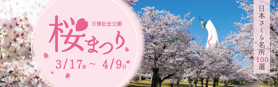 万博記念公園 桜まつり | 2023年3月17日（金曜日）〜4月9日（日曜日）