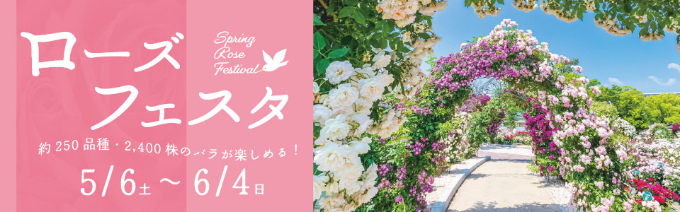 約250品種・2400株のバラが楽しめる！　ローズフェスタ | 2023年5月6日（土曜日）〜6月4日（日曜日）