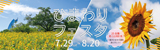 ひまわりフェスタ | 2023年7月29日（土曜日）から8月20日（日曜日）まで | 23品種約12,000本 一面のひまわり畑を見に行こう！