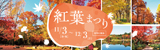 紅葉まつり|開催日程：11月3日（金曜日・祝日）から12月3日（日曜日）|期間中無休
