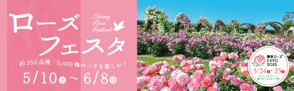 万博記念公園 ローズフェスタ