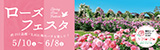 万博記念公園 ローズフェスタ