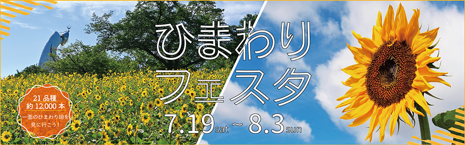 万博記念公園　ひまわりフェスタ