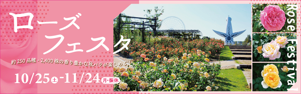 秋のローズフェスタ