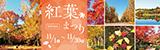 紅葉まつり