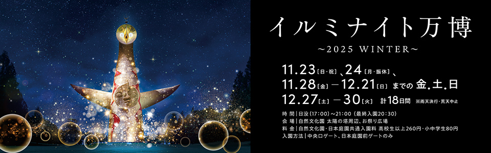 イルミナイト万博