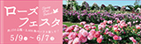 ローズフェスタ