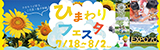 ひまわりフェスタ