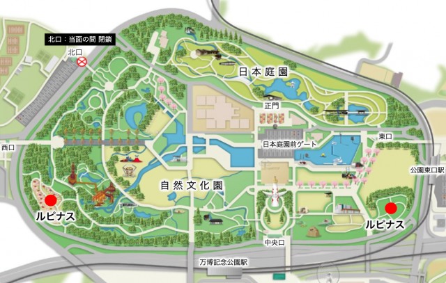 花マップ ルピナス