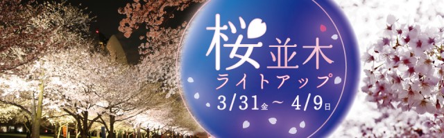 バナー_夜桜
