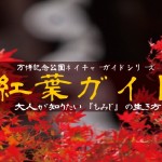 紅葉ガイド写真
