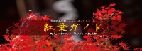 紅葉ガイド写真