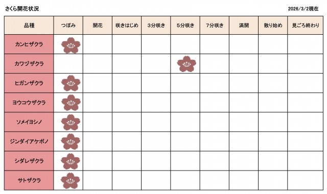 開花情報0302更新