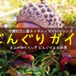 どんぐりガイド写真