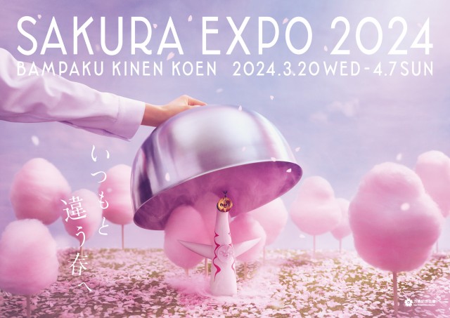 万博記念公園の「SAKURA EXPO」に行ってきました | 寺島ヒロ