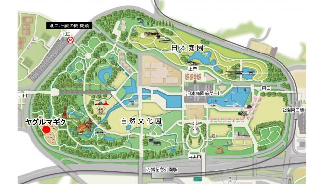 花マップ　ヤグルマギク