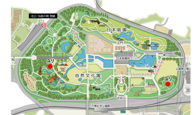 花マップ　ユリ