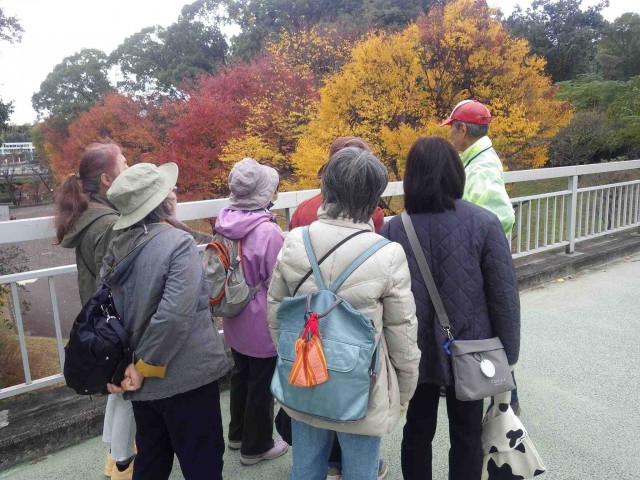どんぐり・紅葉ガイド養成講座