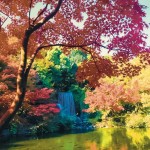 紅葉まつり