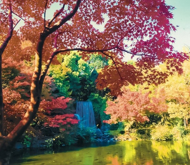 紅葉まつり