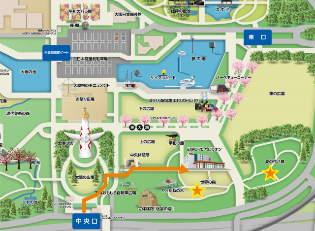 中央口ゲートからの経路