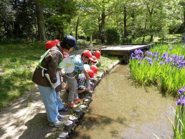 ソラードの会