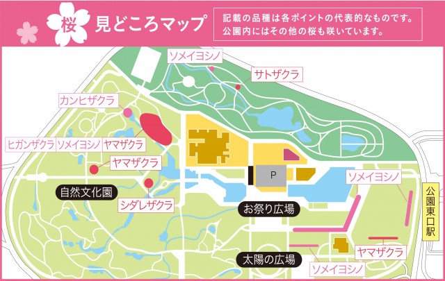 桜見どころマップ