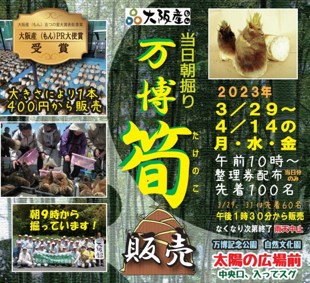 安藤宏子 作品3点 格安新品 www.esn-spain.org