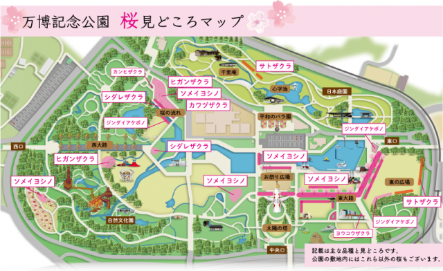 桜見どころmap