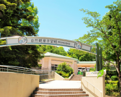 然観察学習館 moricara