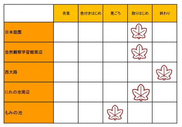 紅葉開花