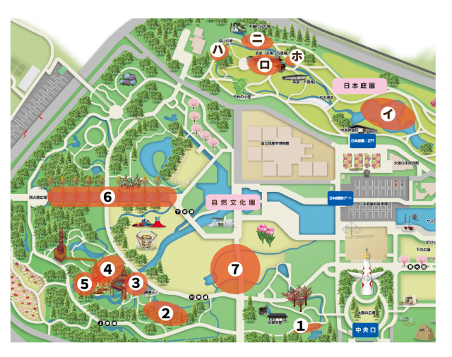 紅葉見どころスポット_map