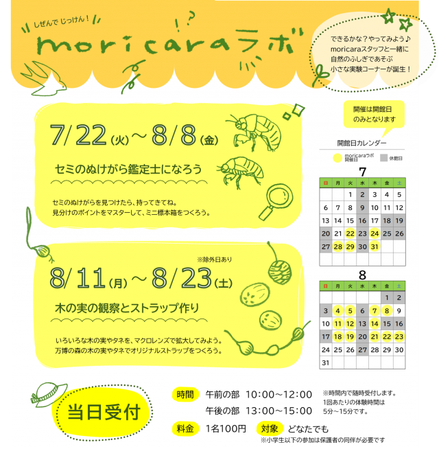 moricaraラボ