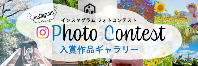 instaフォトコン入賞バナー2026_960_300