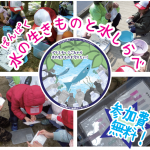 水の生きものと水しらべ