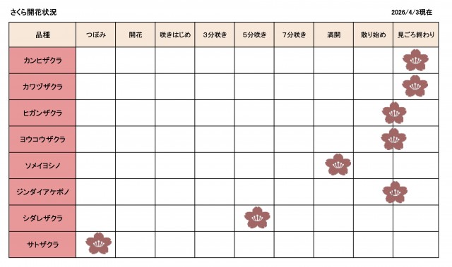 開花情報0403更新