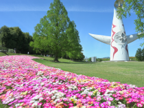 花壇