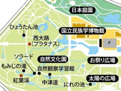 自然文化園紅葉マップ