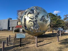 いのち球HP掲載写真