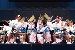 徳島阿波踊り