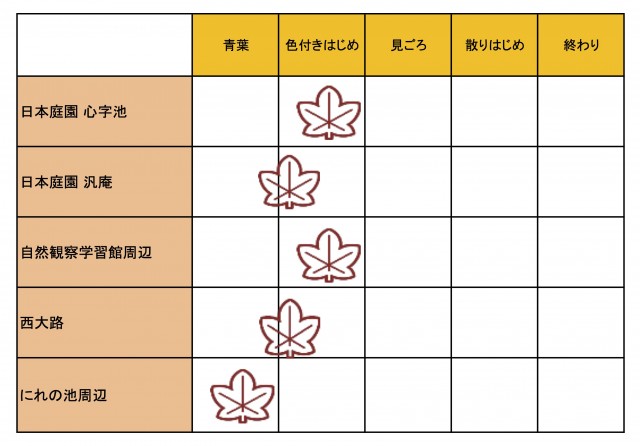 紅葉開花情報1106更新