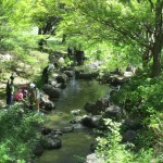 ザリガニつり体験